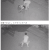 【閲覧注意】中国人男性、通りすがりの女をボコボコにしてレイプしてしまう